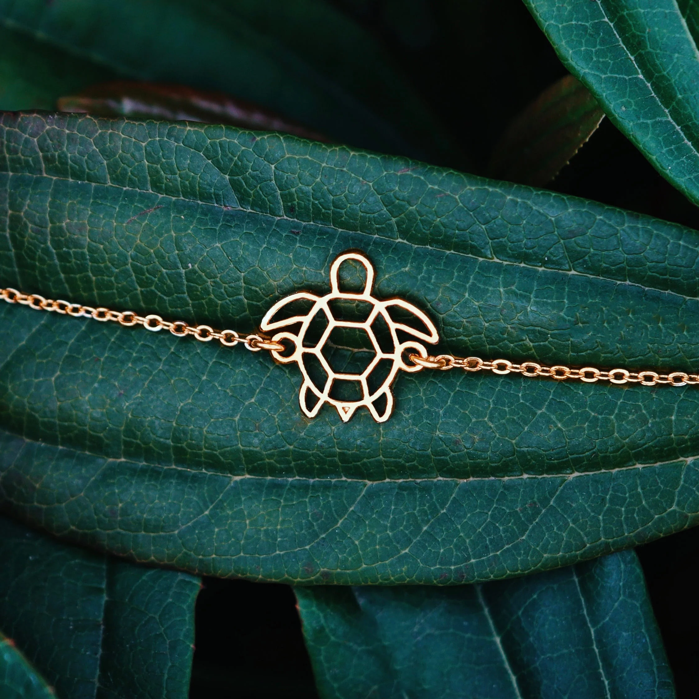 Bracelet Tortue - Image 7
